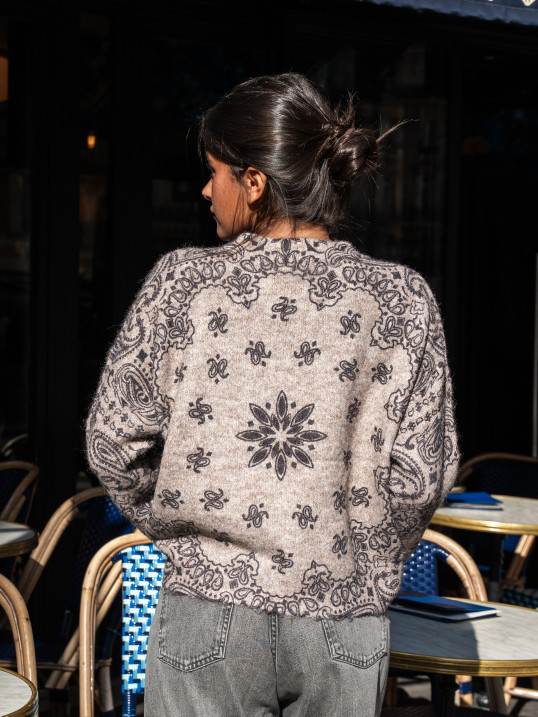 Pull taupe imprimé cachemire – Yaëlli Paris